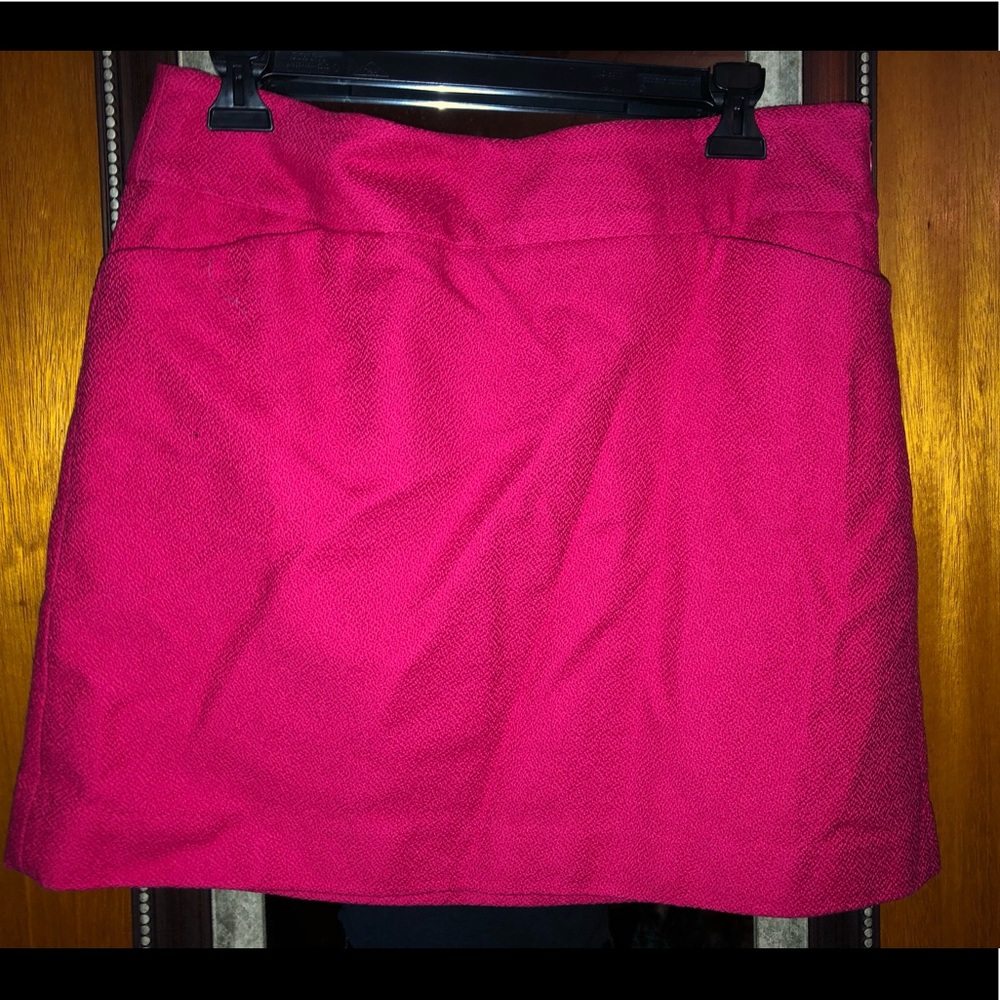 Loft Petite Skirt
